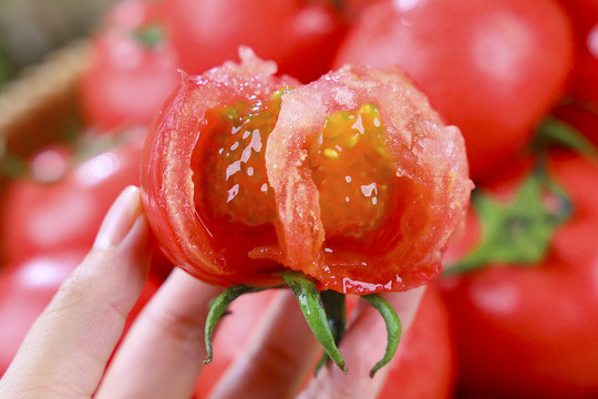 西红柿普罗旺斯沙瓤西红柿