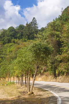 田螺坑旅游公路掠影