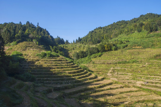 山岭梯田