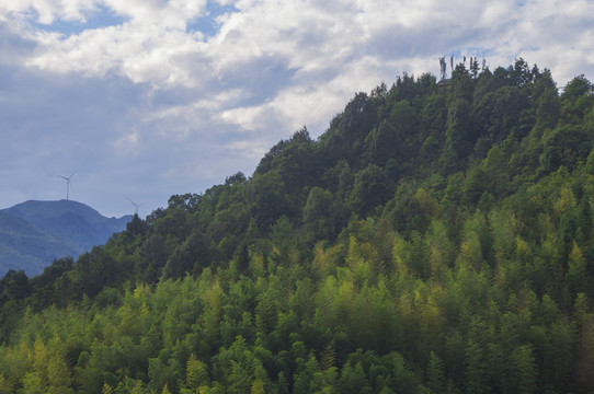 山峰山坡森林风景