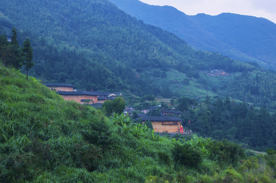 田螺坑山坡风景