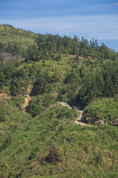 山林山路俯拍风景