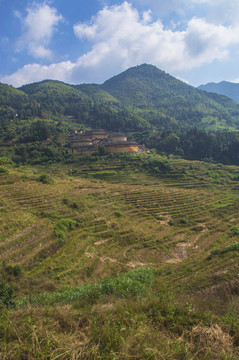 田螺坑乡村风景