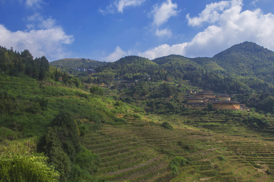 田螺坑大山里的风景