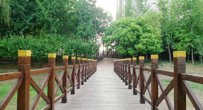 生态湿地公园观光栈道桥