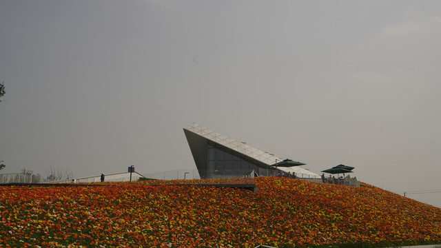 花海