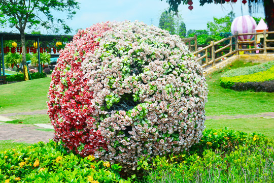 鲜花景观