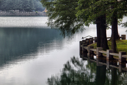 庐山湖泊芦林湖