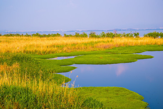 滇池生态湿地