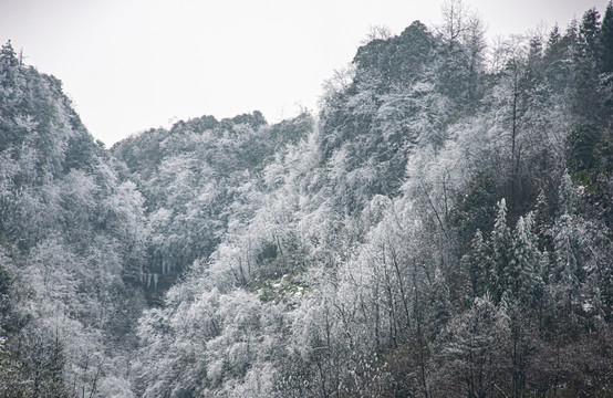 山区雪景