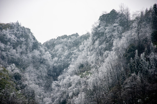 山区雪景