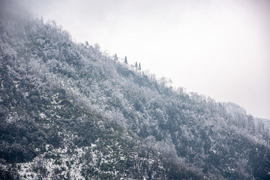 山区雪景