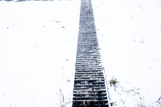 雪景与梯子