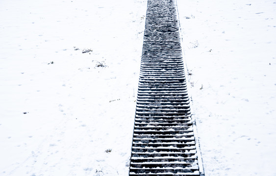 雪景与梯子