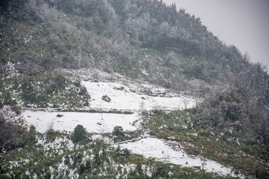 山区雪景