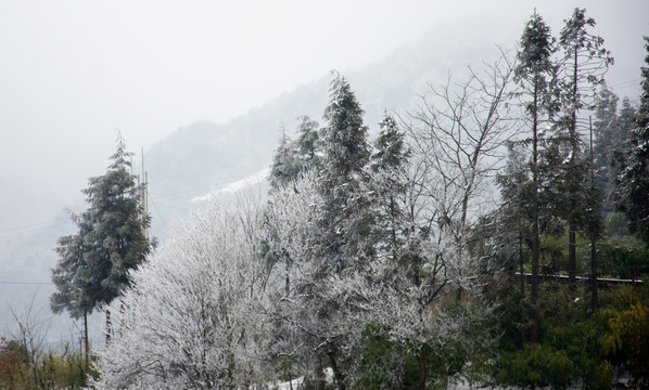 山区雪景