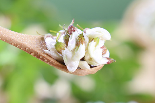 洋槐花