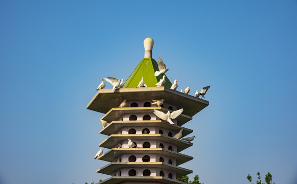月季公园风景