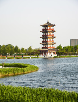 月季公园风景