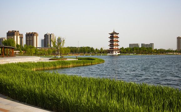 月季公园风景