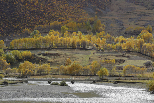 甘孜州康定新都桥秋季自然风光