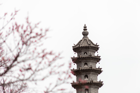 五台山佛母洞寺庙古建塔桃花