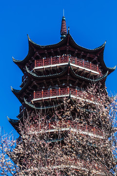 樱花古塔