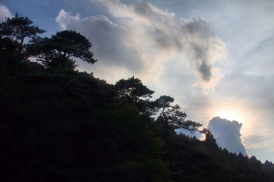 夕阳庐山风景松林剪影