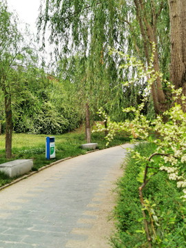 公园景观小道