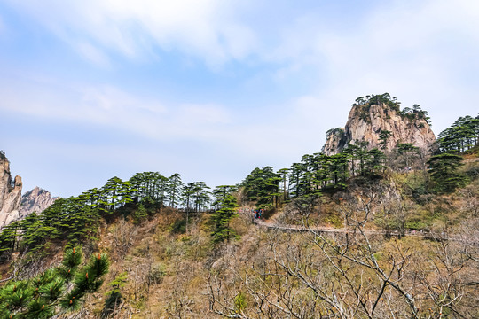 黄山