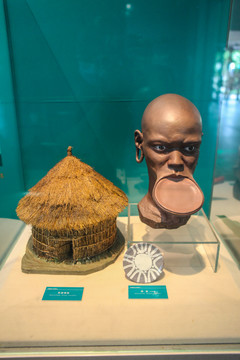 展览