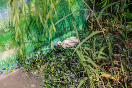 西溪湿地博物馆