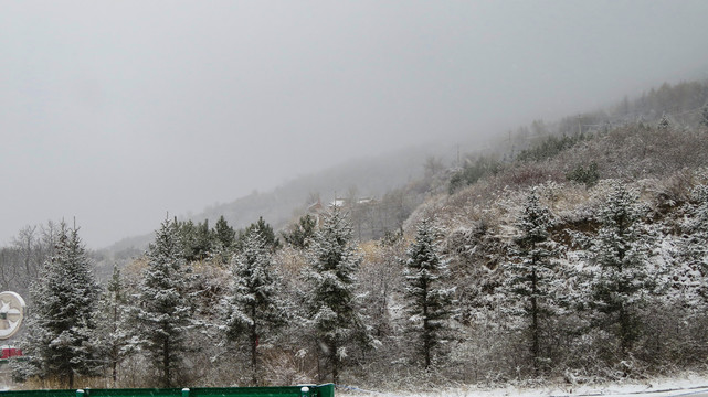 雪林