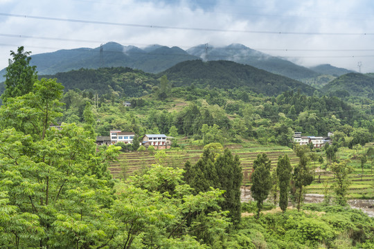 田园风光