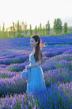 花海薰衣草美女