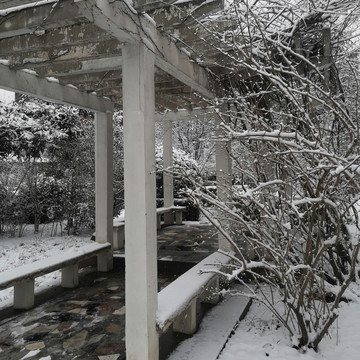 雪中的木亭