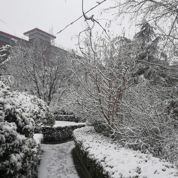 雪中红墙建筑