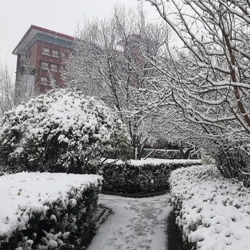 雪中红墙建筑