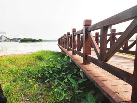 木桥远眺湖中岛