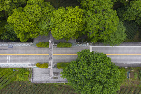 杭州西湖景区梅家坞梅灵路隧道