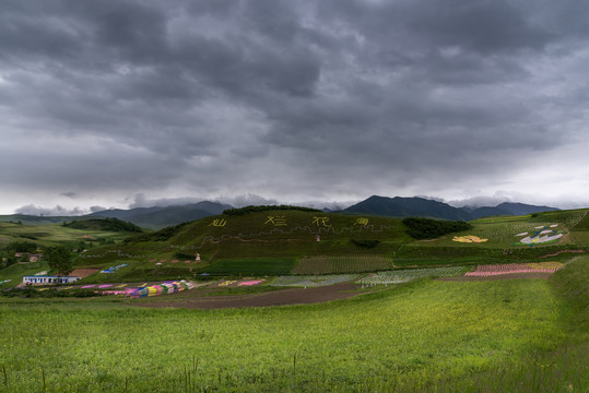 青藏高原家乡的原野