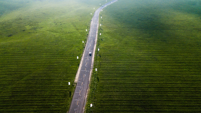 草原中公路