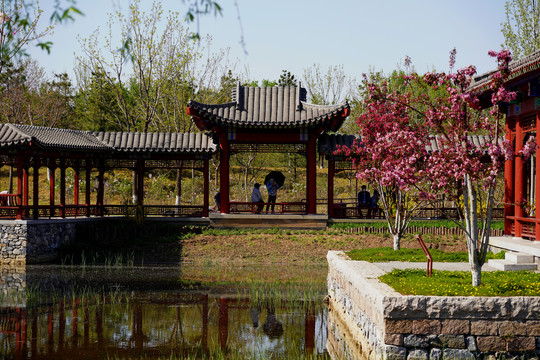 北京张家湾公园