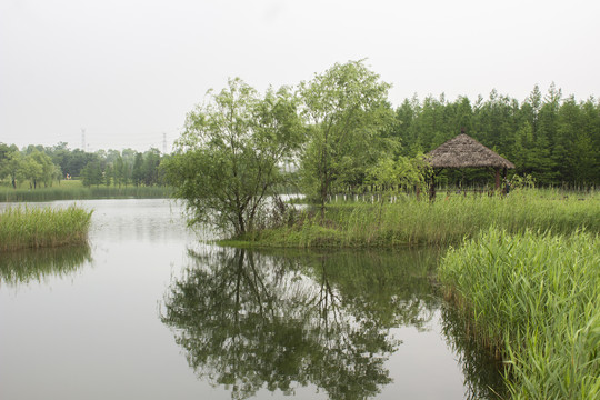 松雅湖