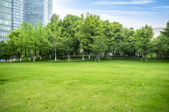 公园绿草地和城市建筑