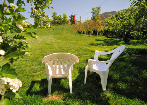 草坪上的白色椅子