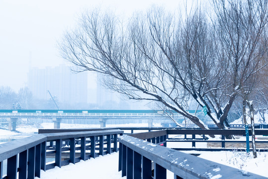 雪后的公园步道