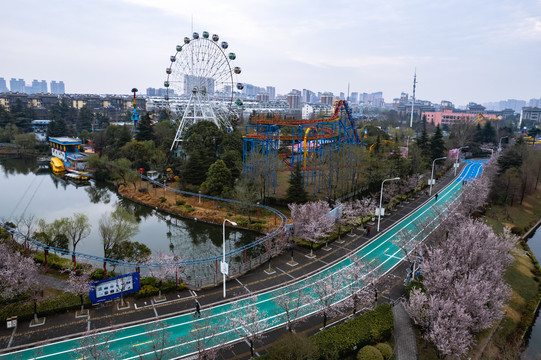 淮安樱花游乐园