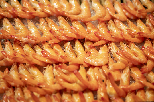 排列红虾大虾