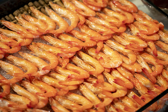 一排排阿根廷红虾海鲜整齐